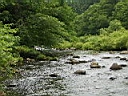 2007-07-03 147.JPG